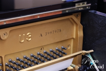 U3A